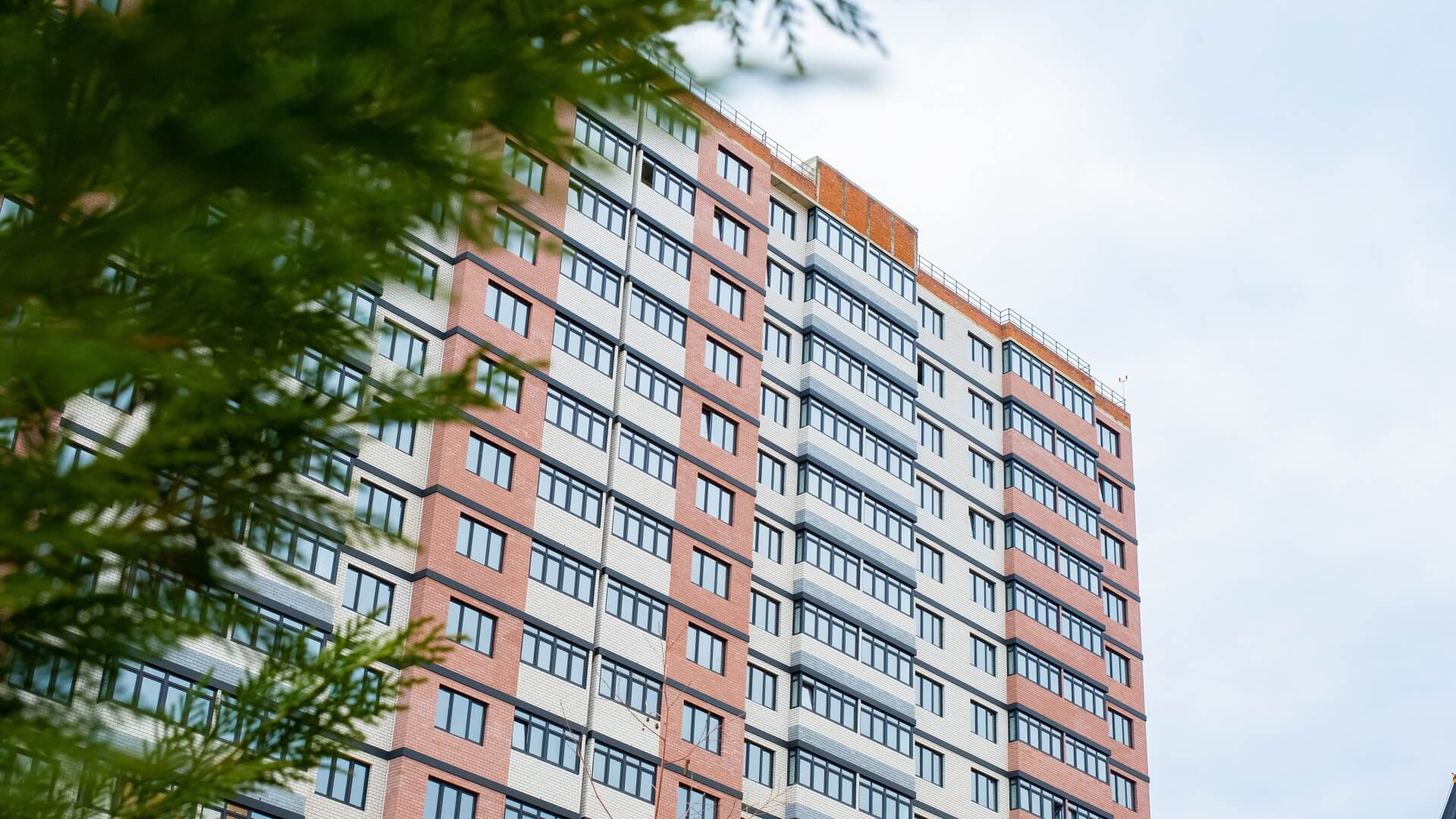 изображение отделки