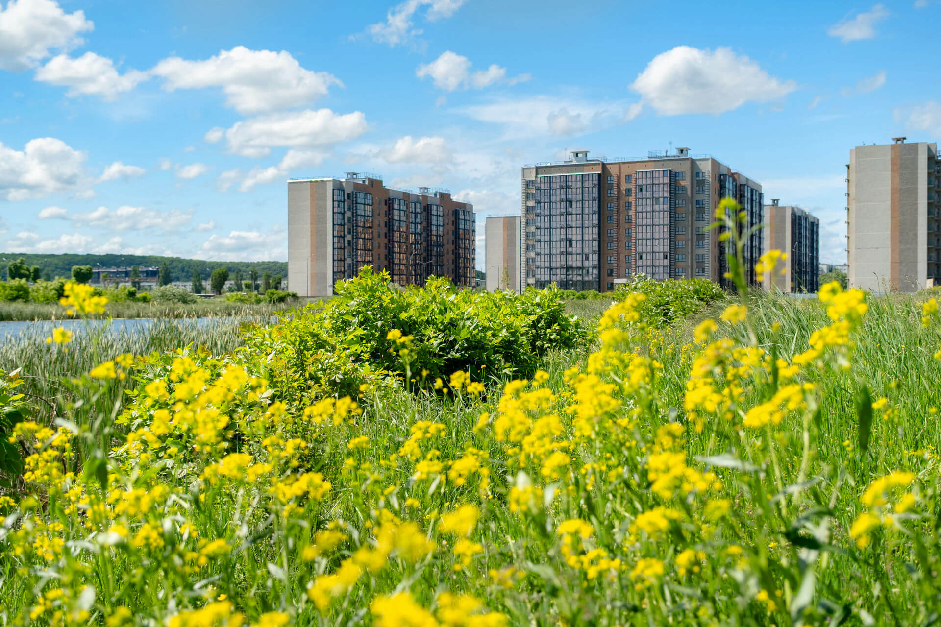 изображение отделки