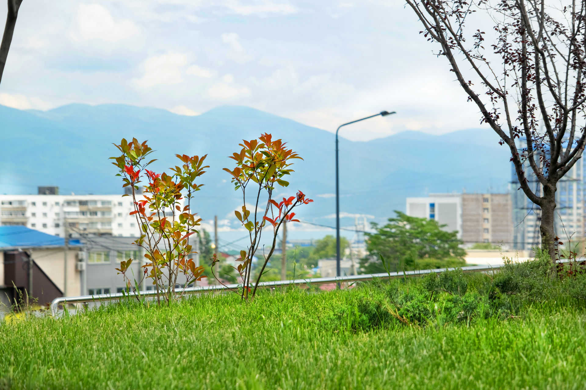 изображение отделки