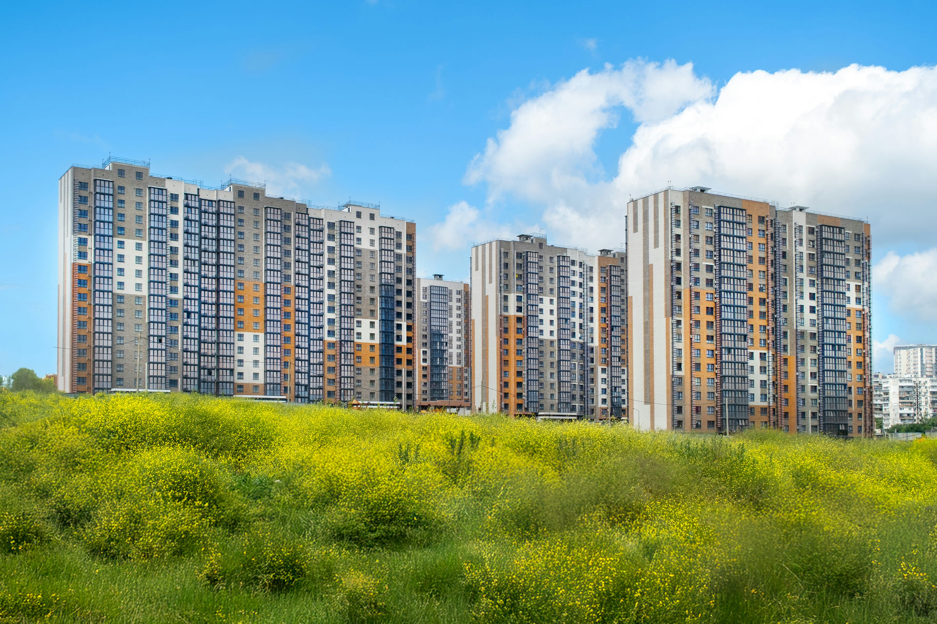 изображение отделки