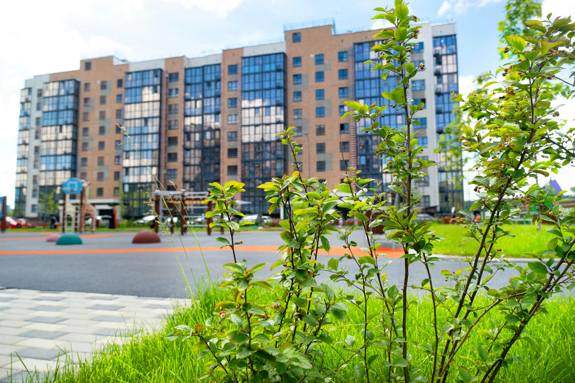 изображение отделки