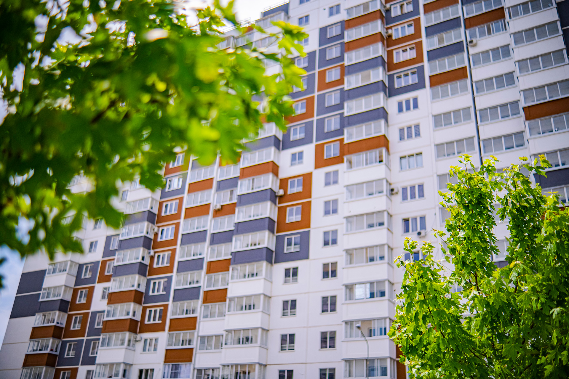 изображение отделки