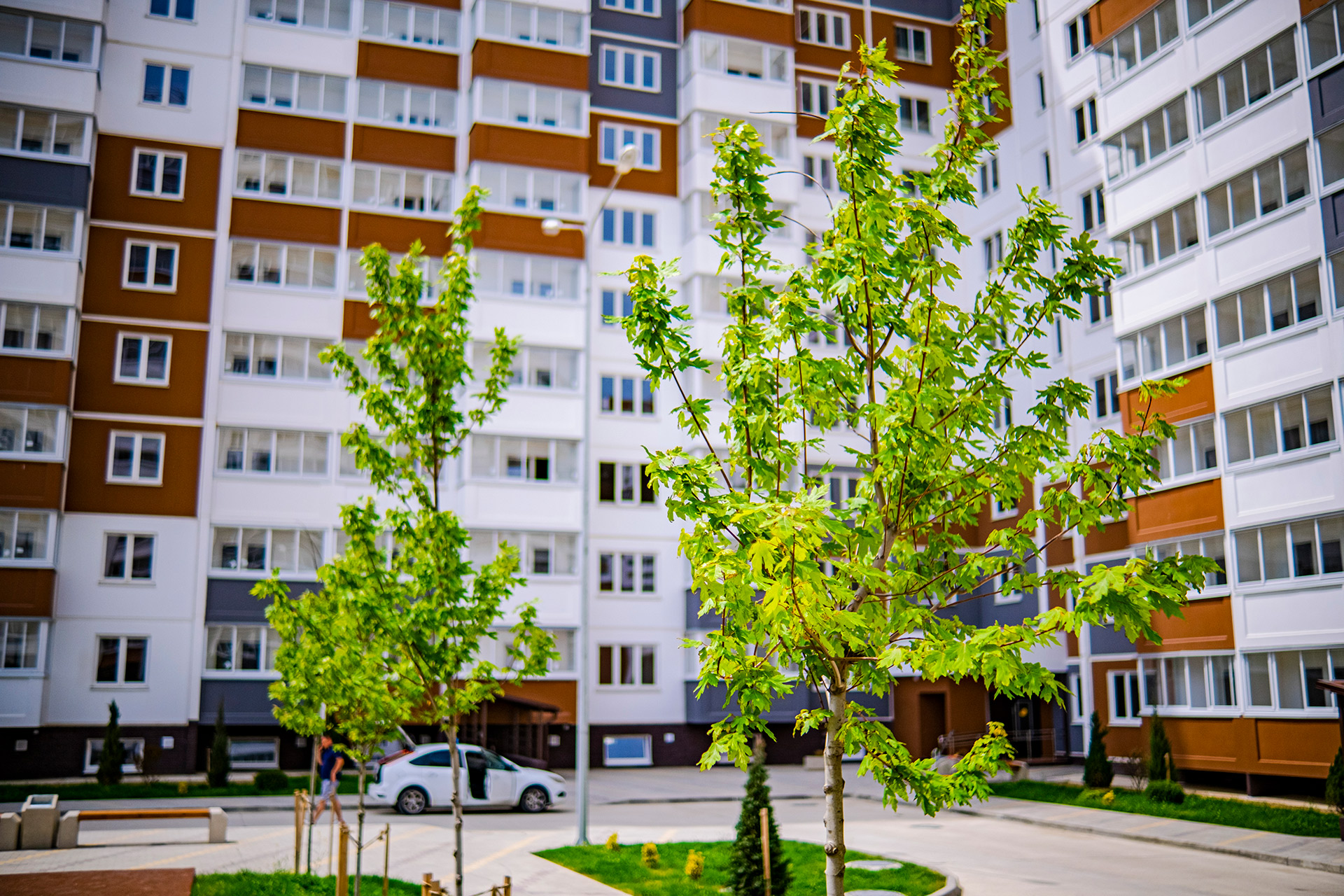 изображение отделки